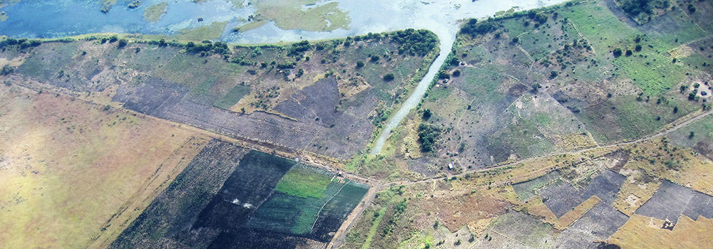 Imagen Consulting fieldwork and project landscape