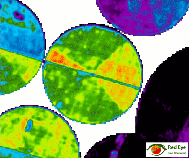 Crop Monitoring project imagery